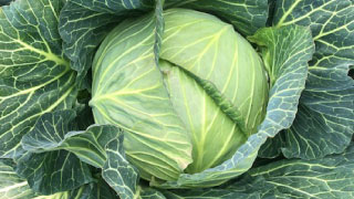 主要商品の原産地情報